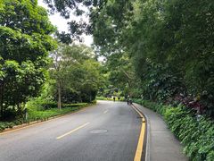 -仙岳公园