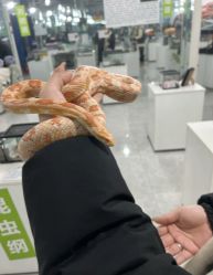 -神奇动物撸宠馆·羊驼·小浣熊·异宠(豫园店)