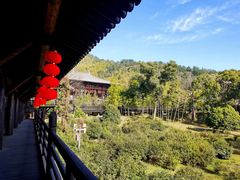 -大唐贡茶院