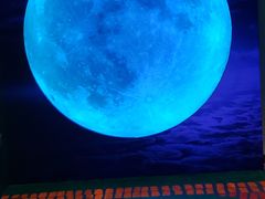 -重庆梵高星空艺术馆(解放碑旗舰店)