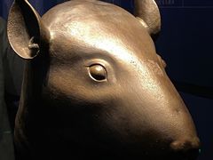 -广西壮族自治区博物馆