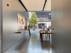 -Apple零售店(成都太古里店)