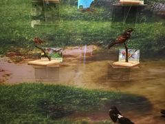 -下渚湖国家湿地公园科普馆