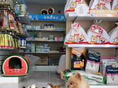 -瑞鹏宠物医院·眼科·皮肤·中兽医(大悦城分院)