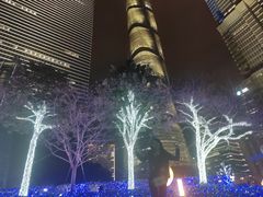 -上海中心大厦