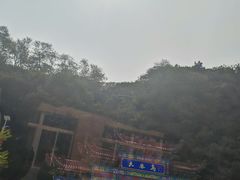 -大鹿岛
