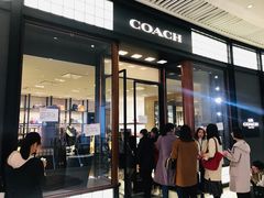 -COACH蔻驰(恒隆广场店)