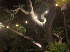 -网红落日悬崖餐厅 The Sky Gallery