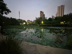-南翠屏公园
