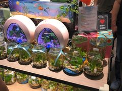 -酷乐潮玩(城西银泰城店)