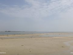 -北海金海湾红树林生态旅游区