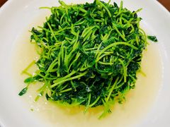 炒豆苗-红灯笼龙凤饭店(宁波老字号店)
