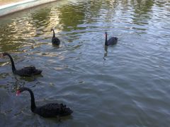 -蓬莱欧乐堡梦幻世界