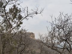 -北京西山国家森林公园