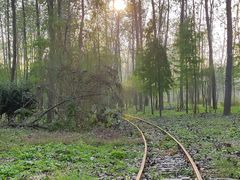 -合肥滨湖国家森林公园