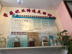 -香薇妮丝·定制减肥·身材管理