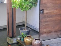 -几荷·恰似故人来(秀水广场店)