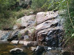 -鲁山国家森林公园