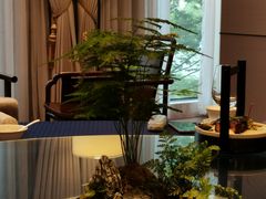 -上海宝华喜来登酒店·采悦轩中餐厅