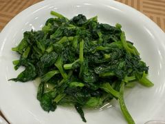 白酒有机豆苗-瑞福园联谊餐室(茂名南路店)