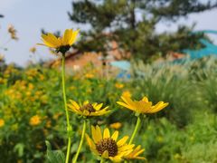 -东郊湿地公园