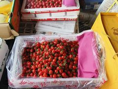 -南京众彩农副产品配送有限公司
