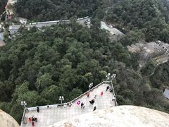 -大金鹰园