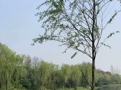 -新江湾城公园