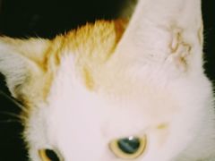 -WATER CAFE(广厦店)