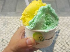 -柠檬车露(卖草地店)