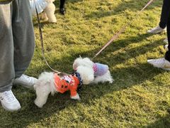 -上海神旺大酒店