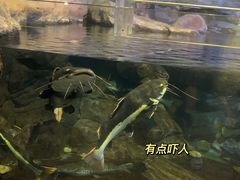 -台州海洋世界