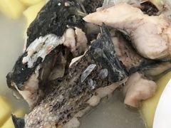 -田螺阿姨自营月嫂·育儿嫂(高新店)