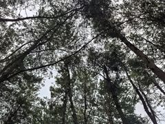 -Club Med地中海俱乐部·桂林度假村