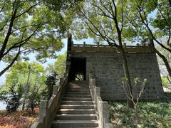 -嘉定紫藤园