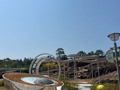 -广州白江湖森林公园