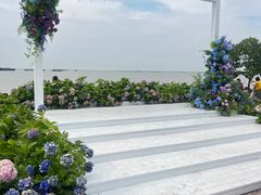 -上海滨江森林公园