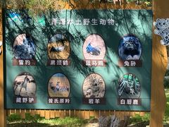 -青藏高原野生动物园