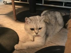 -小时光咖啡馆(北锣鼓巷店)