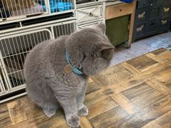 -小时光咖啡馆(北锣鼓巷店)