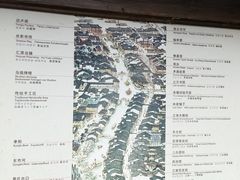 -乌镇东栅景区