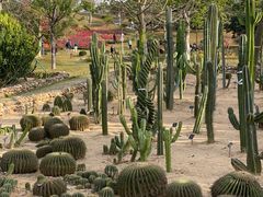 -东莞植物园