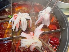 -赵美丽·重庆社区火锅·直营店(火车东站·中豪国际店)