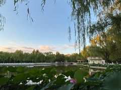 -丰台花园