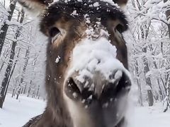 -翠云山银河滑雪场