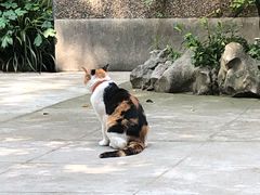 -巴金故居