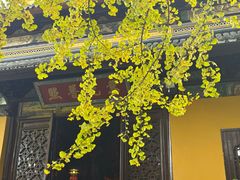 -西园寺素食(西园弄戒幢律寺店)