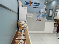 -纳吉亚猫专科动物诊疗中心(蒋宅口分院)