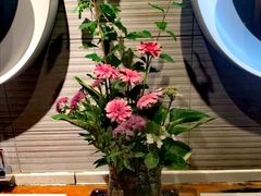 -初花·日本料理