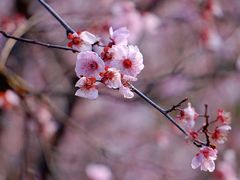 -白塘生态植物园